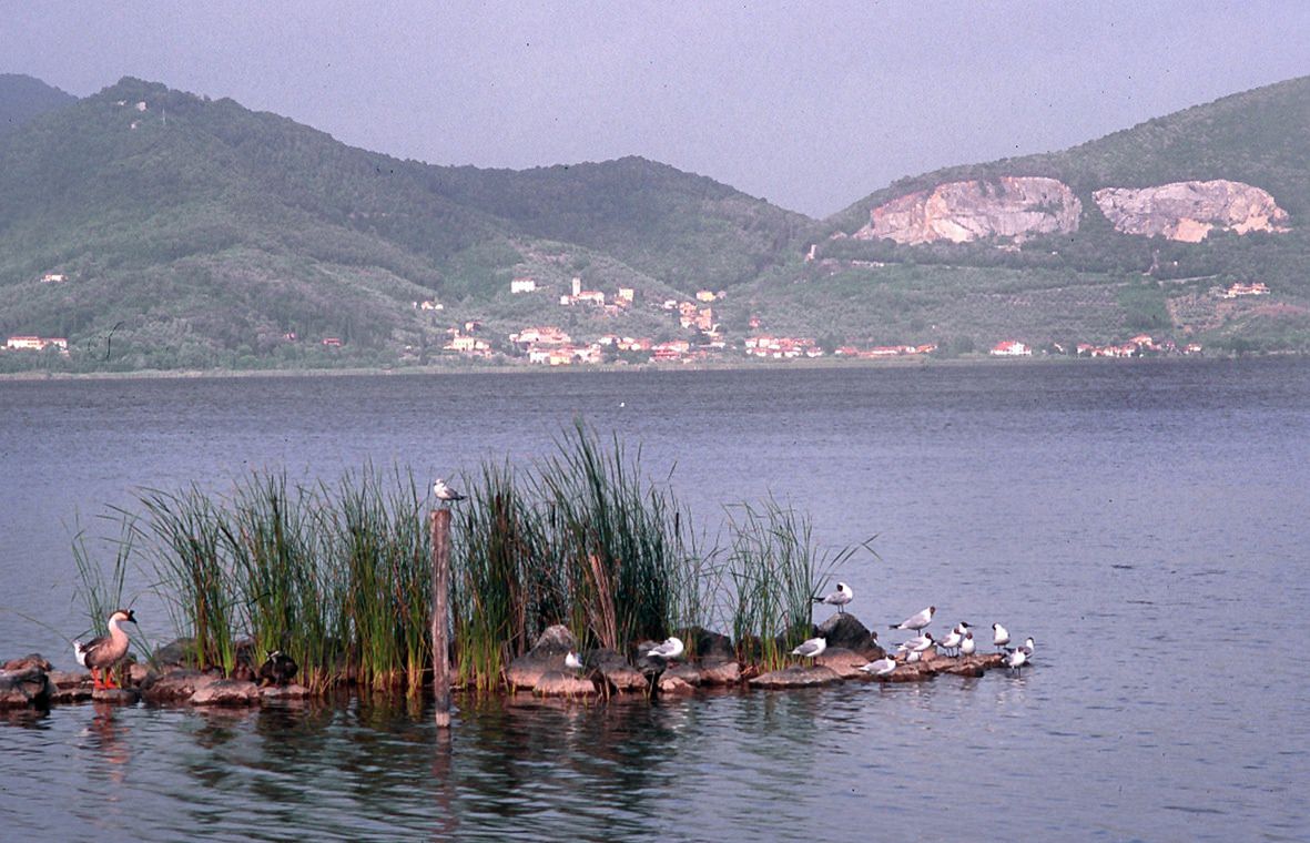 Open day per i cittadini al nuovo impianto di fitodepurazione del Lago di Massaciuccoli