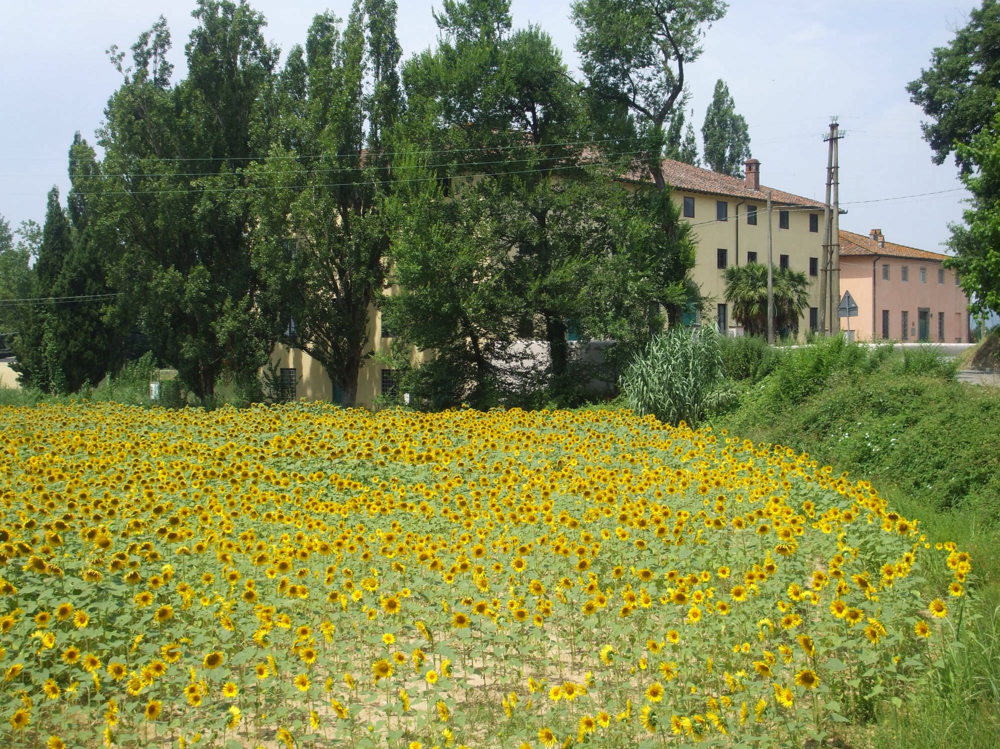 Massarosa e La Brilla vanno in tv