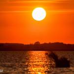 Il lago di Massaciuccoli tra le zone umide di importanza internazionale 1 Foto Mario Giannecchini