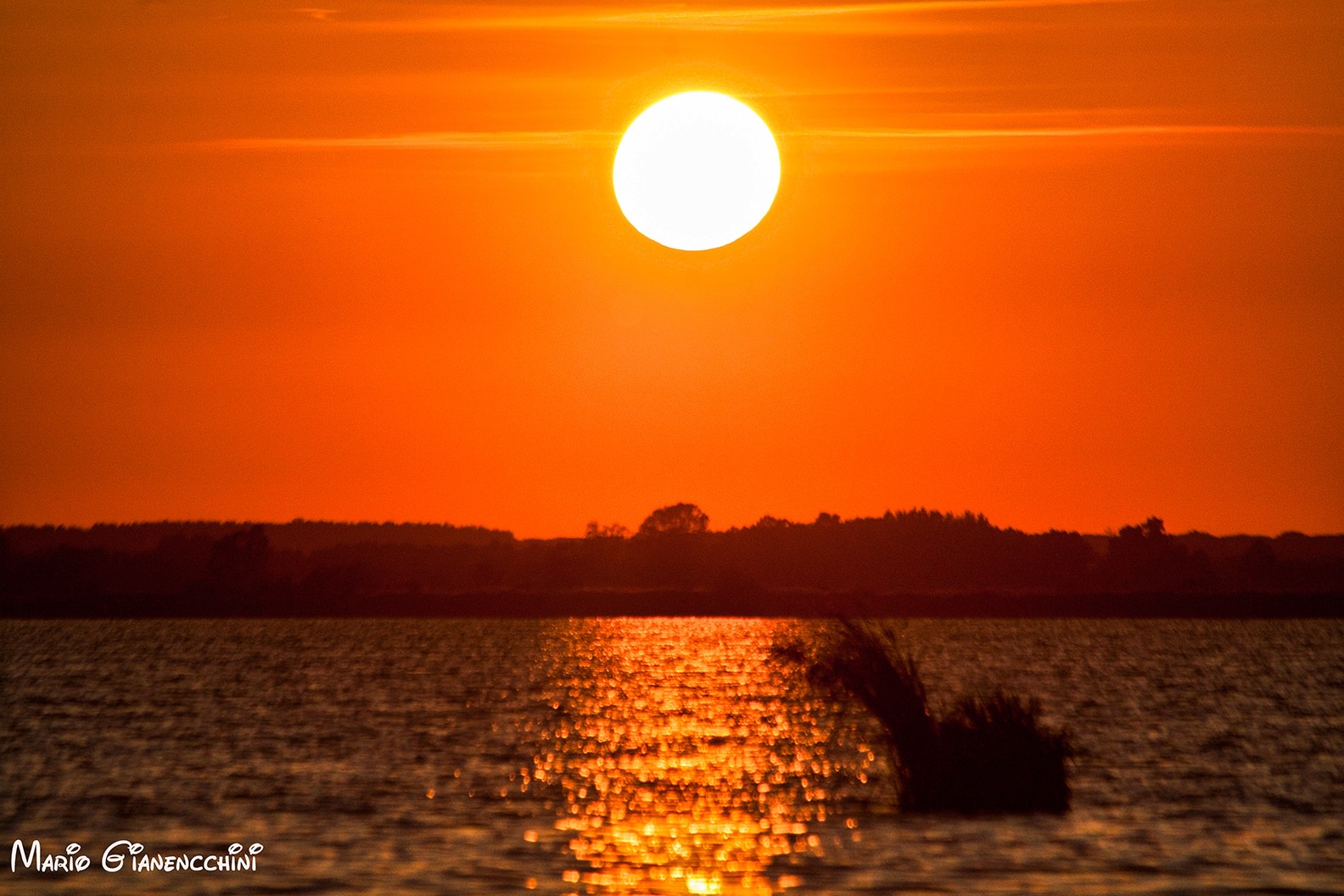 Focus sul lago di Massaciuccoli su 50 News Versilia