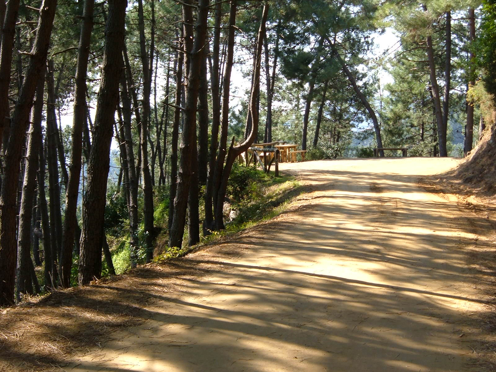 Conclusi i lavori sulla panoramica Pitoro-Bargecchia