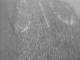 CAM00670