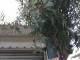 CAM00672