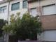 CAM00689 lampione dentro alberi via leonardo