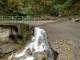 Canal delle Calle