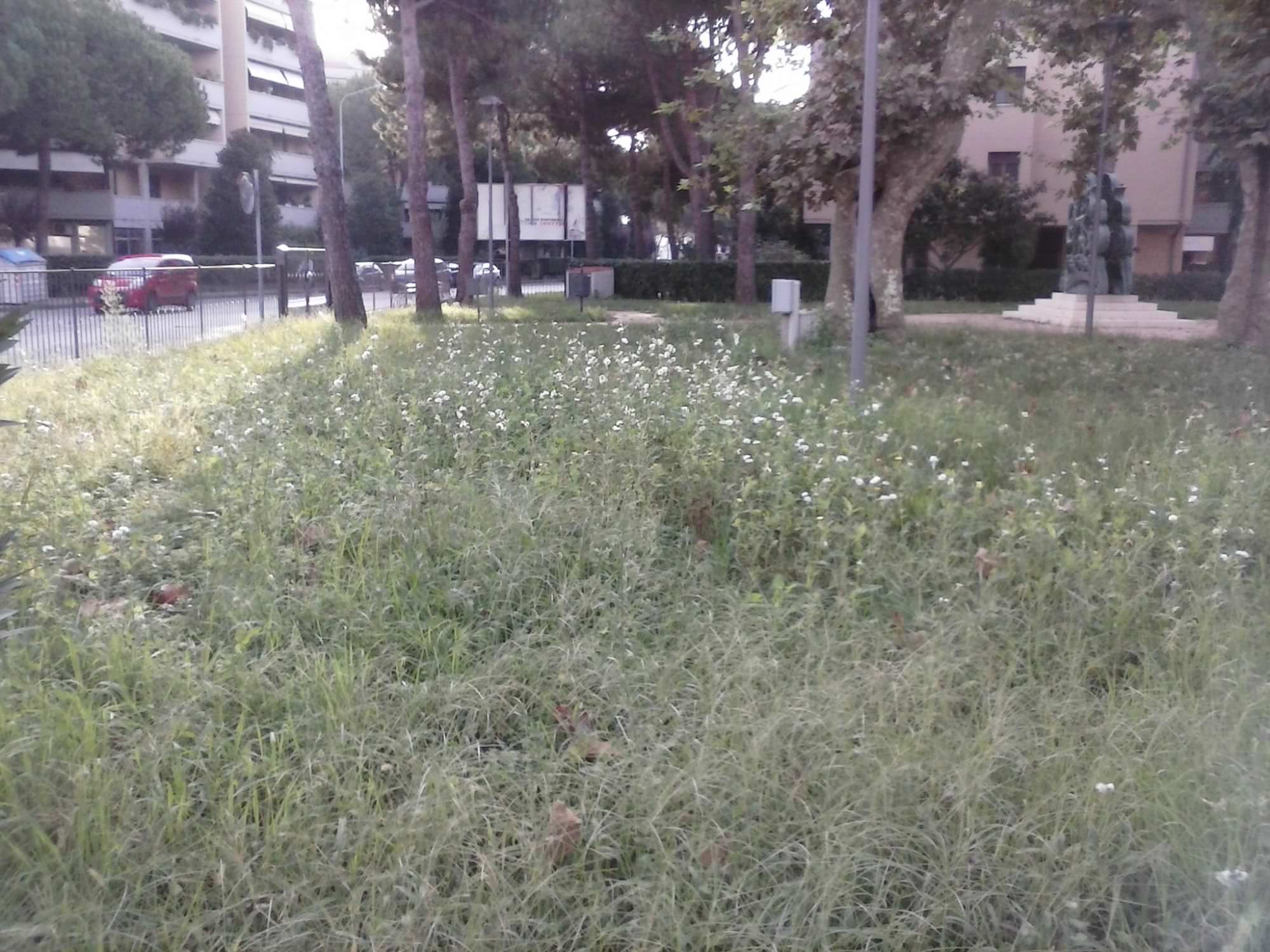 Il Parco degli Angeli invaso dall’erba alta, la denuncia del motogruppo “Tartarughe Lente”