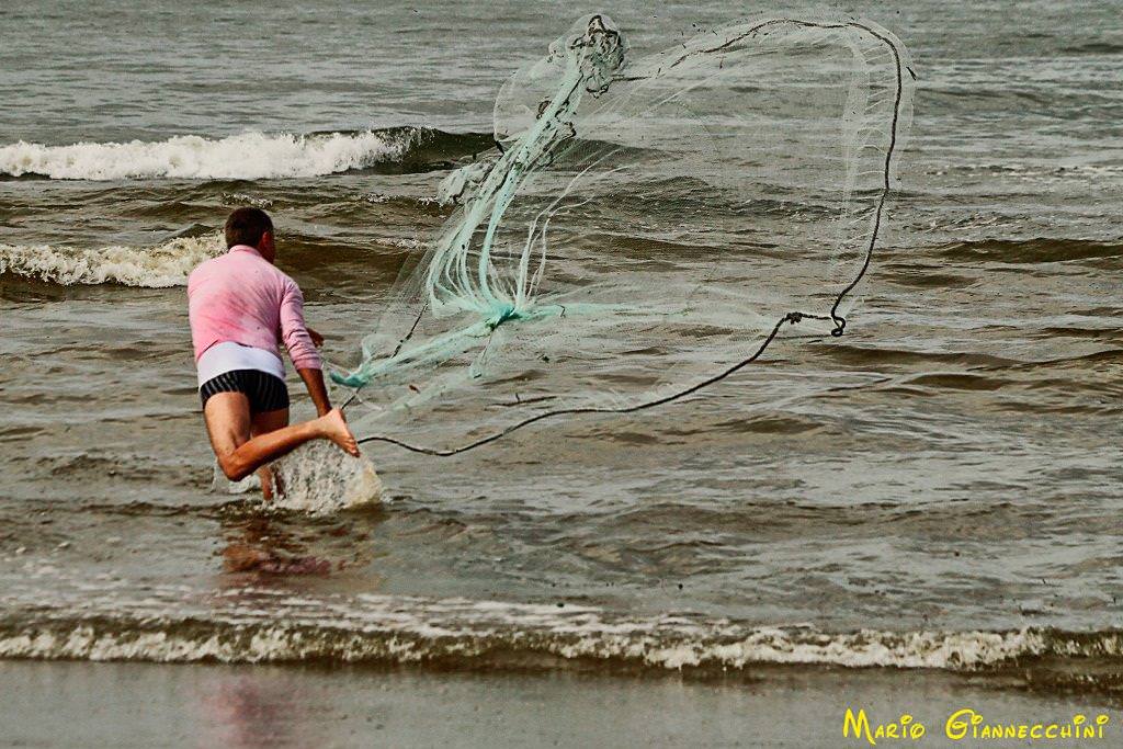 A Viareggio il convegno per promuovere la pesca sostenibile delle telline sulle coste toscane