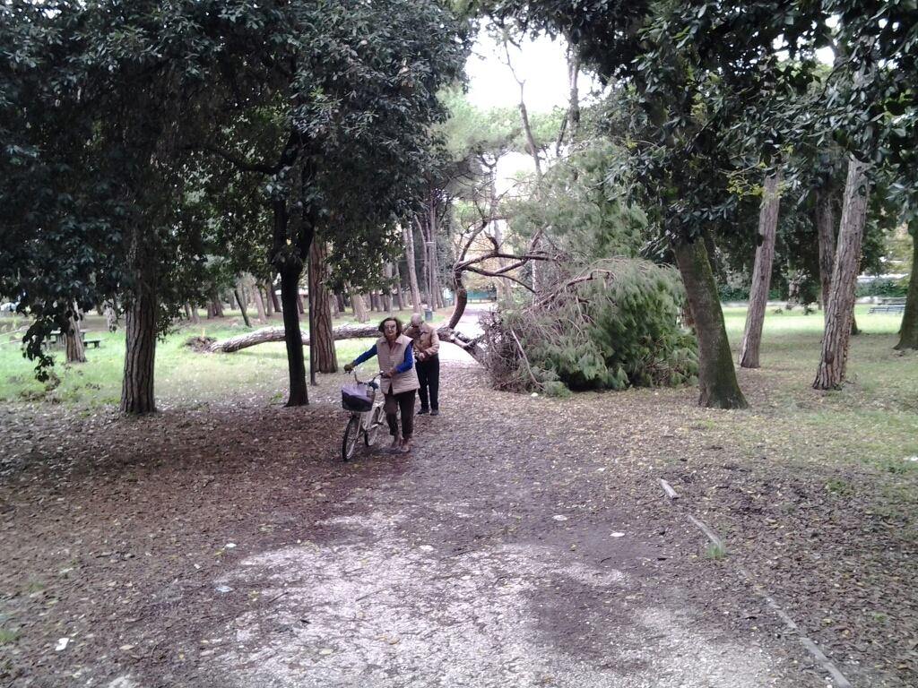 Far fruttare bene i soldi per sistemare la Pineta di Ponente