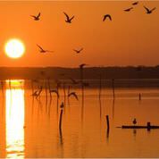 Convenzione Ramsar, il Parco dichiarato “zona umida di importanza internazionale”
