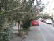 via bertini 2