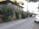 via bertini