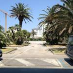 Il verde pubblico ai tempi della crisi, il Comune di Viareggio fa il punto della situazione 4 foto Marco Pomella