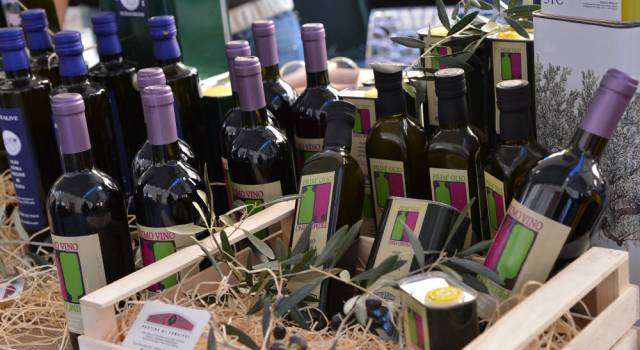 Botti, olivi e viti: a Camaiore arriva Prim&#8217;Olio Primo Vino