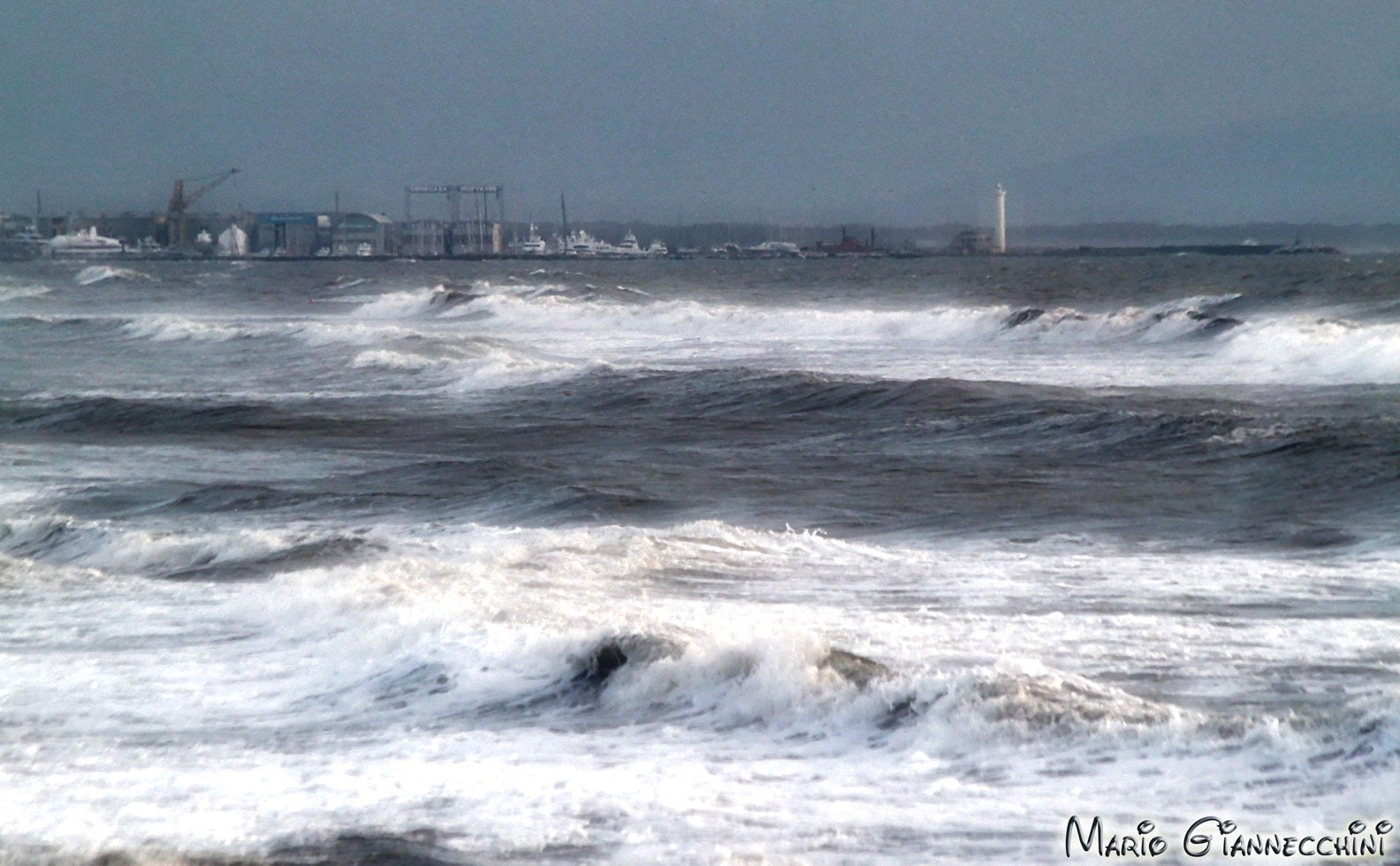 Allerta meteo per vento forte in Versilia