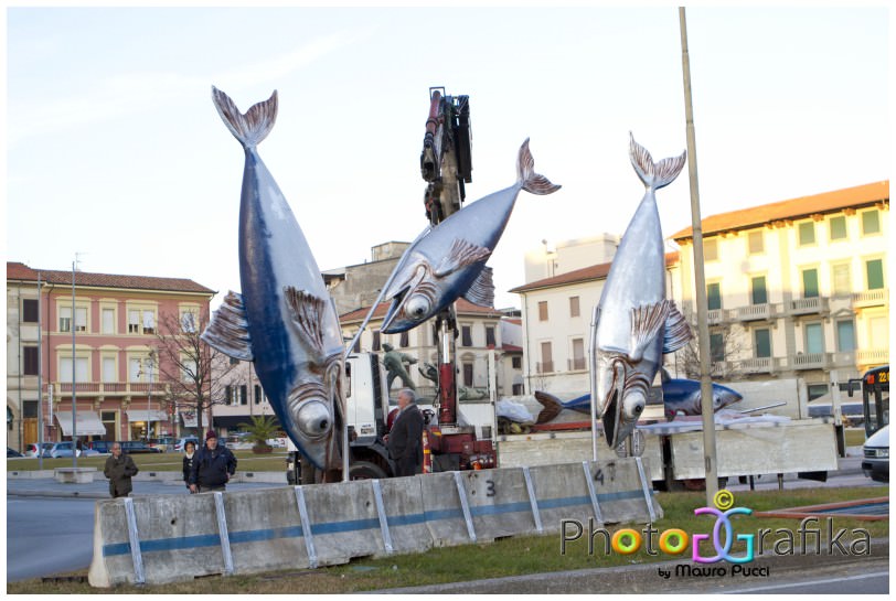 Viareggio, in piazza spuntano le acciughe giganti