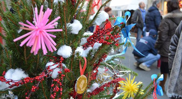 A Camaiore arrivano gli alberi di Natale da riciclo. Ma qualcuno ruba gli addobbi dei bambini