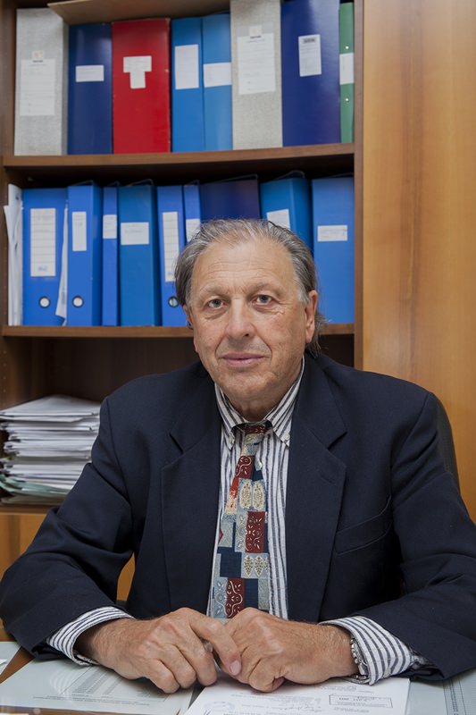 Fortunato Angelini - profilo