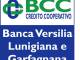 Coronavirus: Bcc Versilia stanzia plafond 20 mln per imprese Per famiglie altro fondo, c’è 1 mln euro