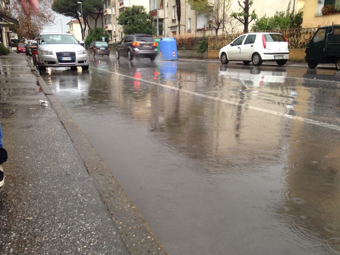 L’appello del sindaco di Viareggio: “Evitate di parcheggiare sotto gli alberi”