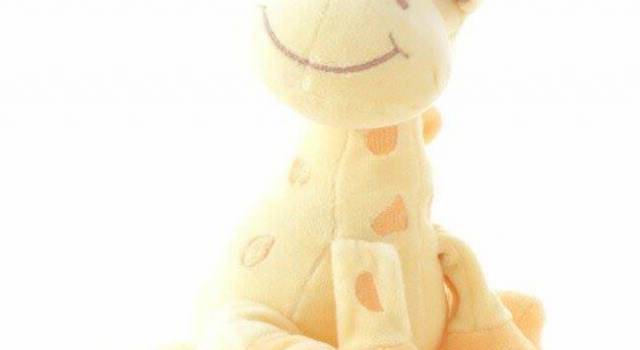 Perde una giraffa in Passeggiata. &#8220;Sono disperata, serve a mio figlio per dormire&#8221;