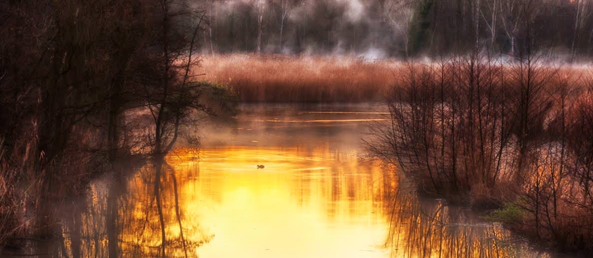 Dal Lago al Padule. Nasce la Pro Loco di Massarosa