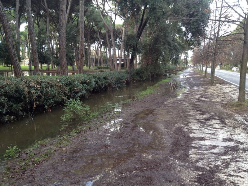 I trattori del Consorzio di Bonifica svuotano le Pinete