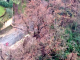 Schermata 2014 01 20 alle 11.36.20