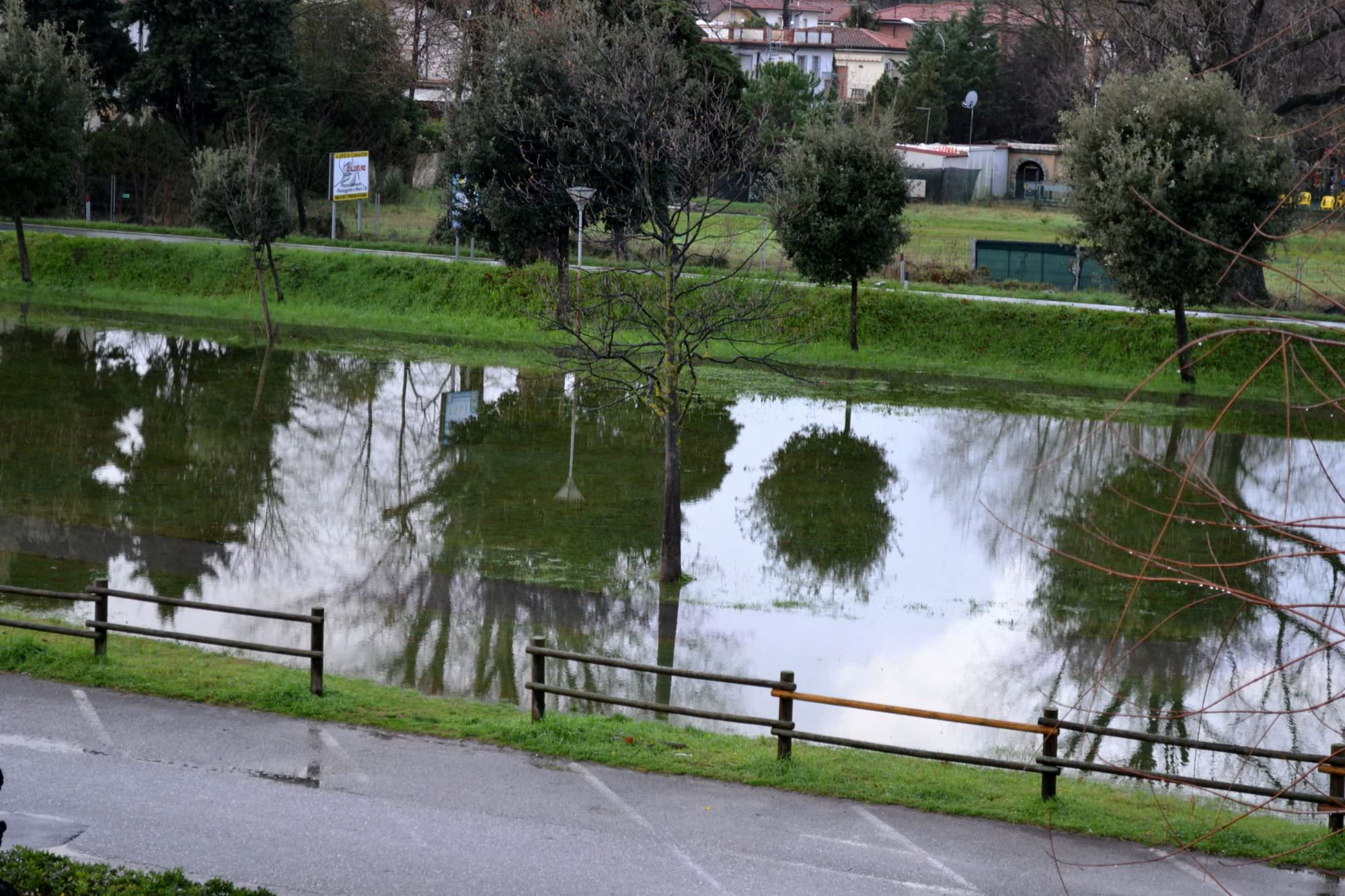 Incontro sulla sicurezza nella pineta di Ponente