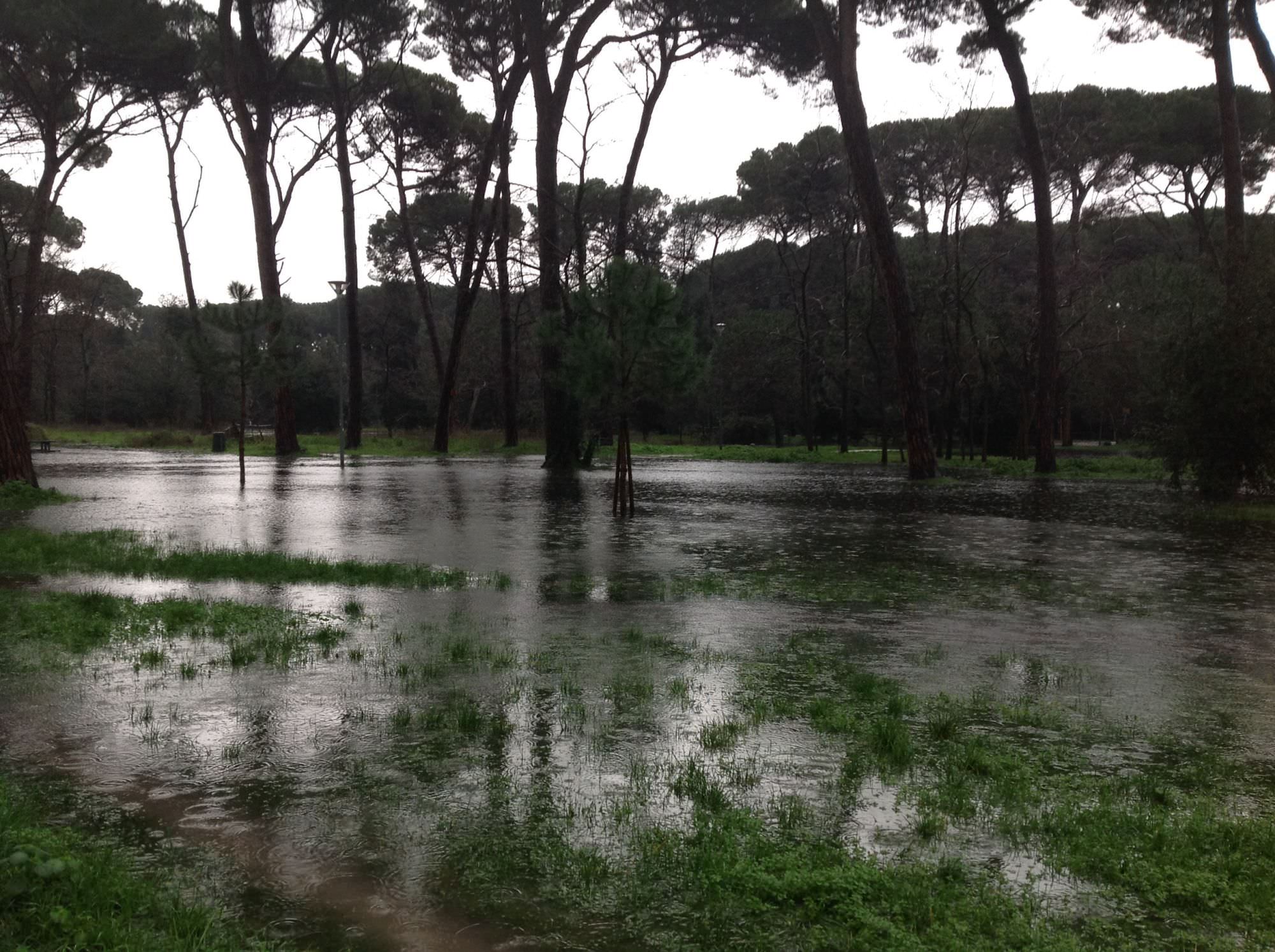 Un’app per i casi di emergenza a Viareggio