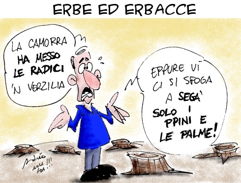 La vignetta di Alla Fóa