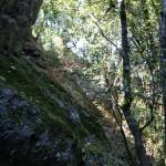La rocca di Corvaja: a spasso con Galatea Versilia 4 foto Andrea Meccheri