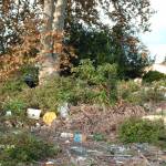Discarica a cielo aperto nel Parco al confine tra Torre del Lago e Vecchiano 1 Foto Michele Antonino
