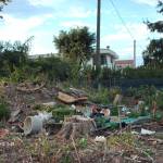 Discarica a cielo aperto nel Parco al confine tra Torre del Lago e Vecchiano 2 Foto Michele Antonino