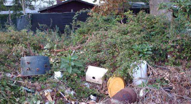 Discarica a cielo aperto nel Parco al confine tra Torre del Lago e Vecchiano