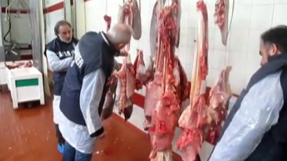Torture sugli animali da macello, intervengono i Nas di Livorno