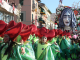 Coreografie che passione, i cortei dei carri protagonisti del Carnevale di Viareggio
