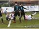 nap pal 15