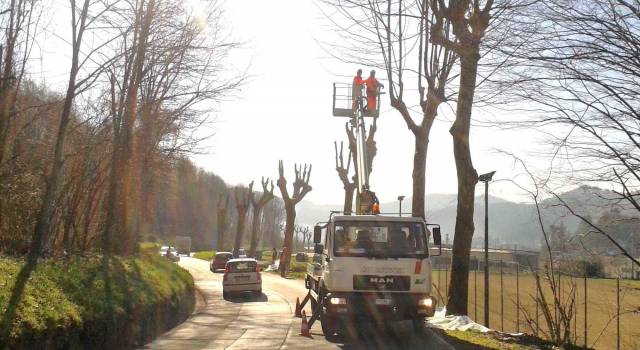 Al via le potature sulle strade della Provincia