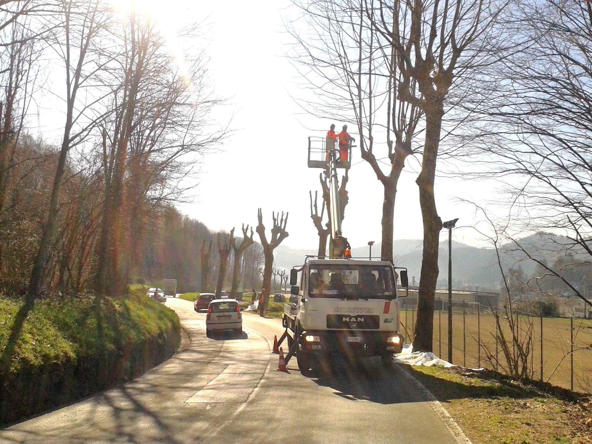 Taglio di un albero, chiusa via XX Settembre