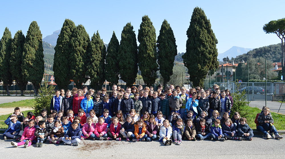 Gli abeti del Natale sostenibile ora abbelliscono le scuole di Camaiore