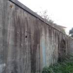 foto Galatea Versilia
