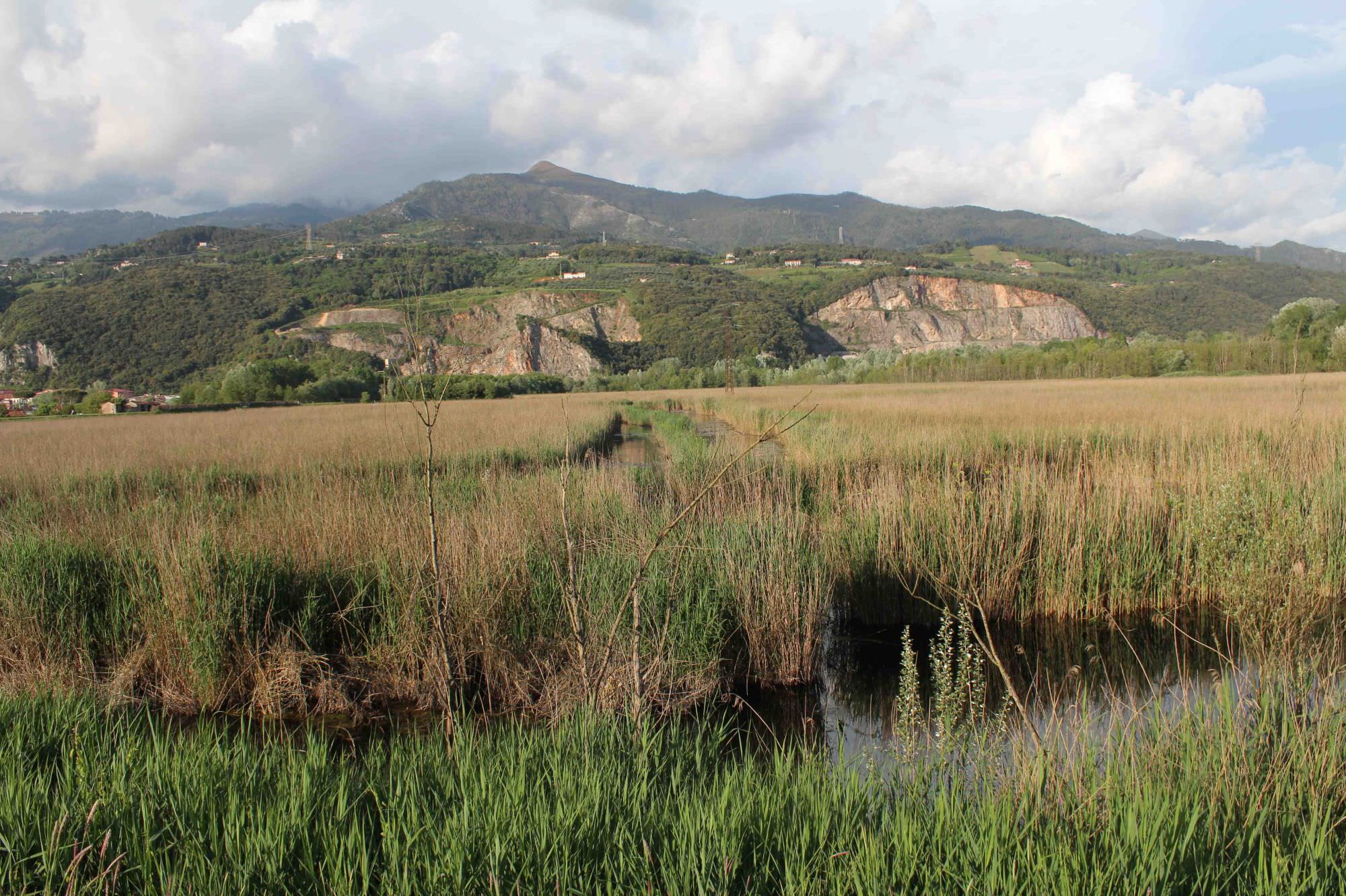 “Se al Lago di Porta era tutto a posto, perché ora è necessario un depuratore?”