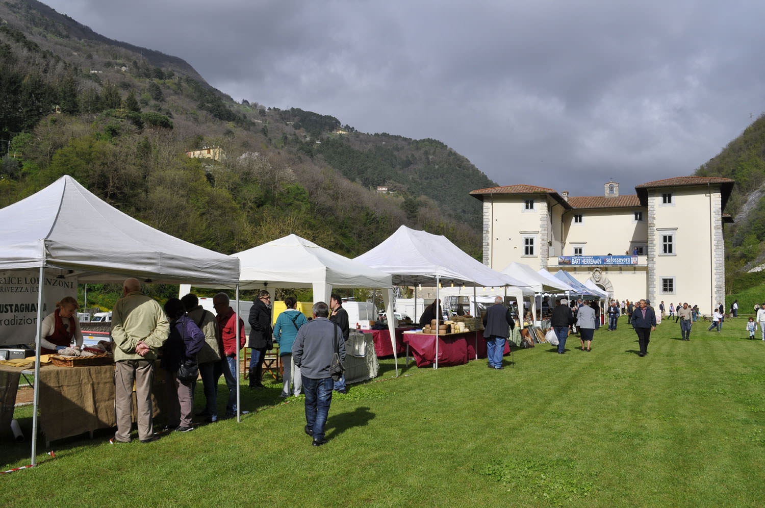 Bando pubblico per Enolia 2015