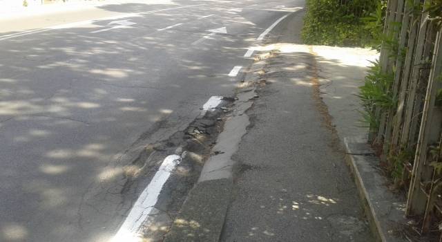 Al Varignano asfalto sconnesso a causa delle radici degli alberi