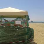 "La Viareggio Versilia Congressi ormai destinata a un tragico epilogo" 4 foto VersiliaToday