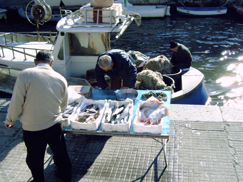 Pesca sostenibile, riduzione dello scarto e gestione delle risorse ittiche: convegno a Viareggio