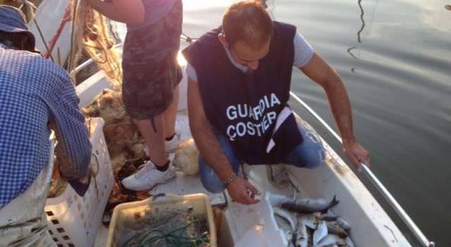Pesca abusiva: la Guardia Costiera sequestra pesce, reti e barca (foto)