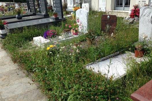 &#8220;Il cimitero di Pruno-Volegno è invaso dalle erbacce&#8221;