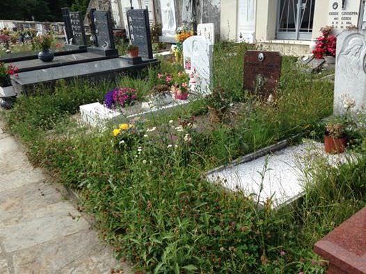 “Il cimitero di Pruno-Volegno è invaso dalle erbacce”