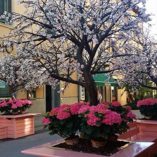 Forte dei Marmi. “Anno nuovo: avanti, avanti”